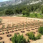 فيلة Sun Garden بول