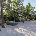 Sun Garden