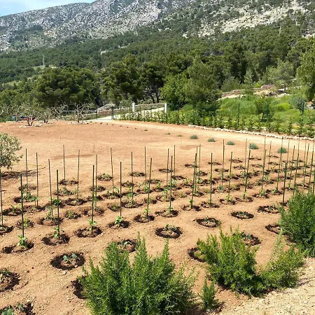 Vila Sun Garden Bol