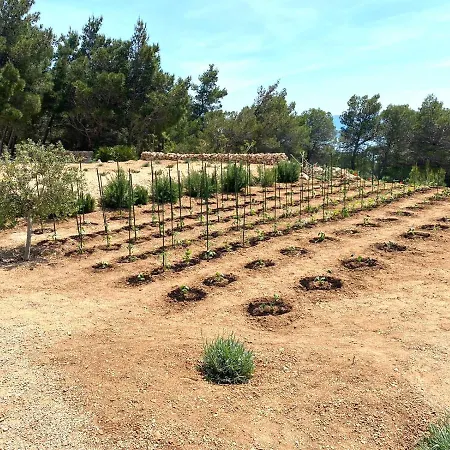 Sun Garden Vila